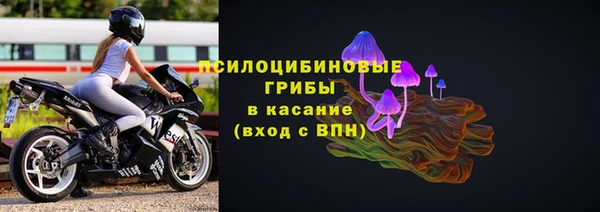 твердый Абаза