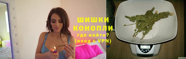 твердый Абаза