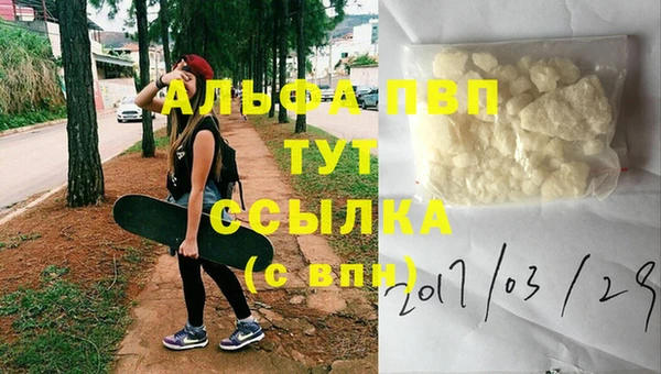 твердый Абаза