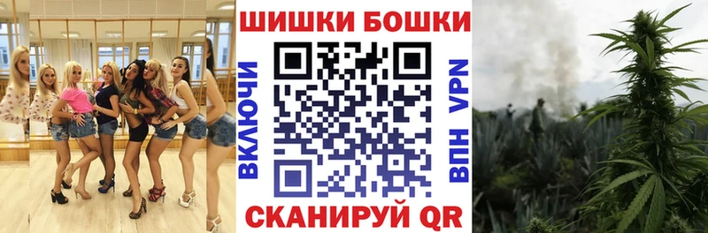 где купить наркотик  мега ONION  Бошки Шишки ГИДРОПОН  Воронеж 